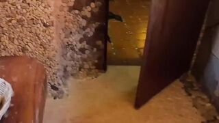 Real Amateur Fucking at Resort
