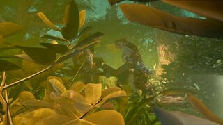 Tribe Woman Swallowing Cum inside the Jungle 3D