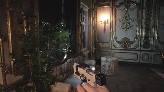 Resident Evil 8 Village Lady Dimitrescu - Violet Corset - H Cup Window Peep & Caught - 3D Cartoon