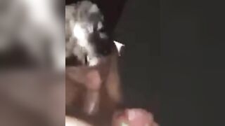 Nyc Thots Blowing Cock