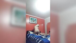Cachondos Haciendo Mamada Feliz En La Cama
