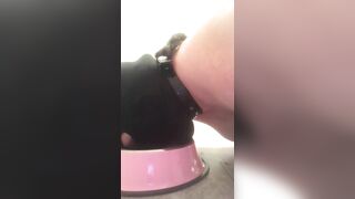 Pathetic Skank Drinks Piss from Bowl