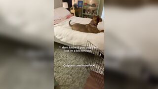 Hotwife Teaches Real Innocent how to have Sex - Let’s him Cum into her for his first Time