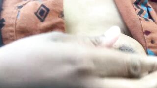 My Piercings
