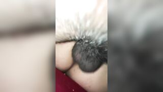 Fucking my GFs Bestie. She’s a Squirter with a Tight Twat.