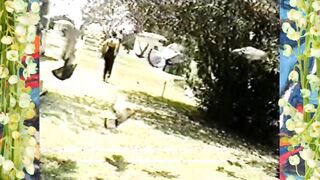 Goth Barely Legal into Hollywood Graveyard
