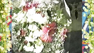 Goth Barely Legal into Hollywood Graveyard