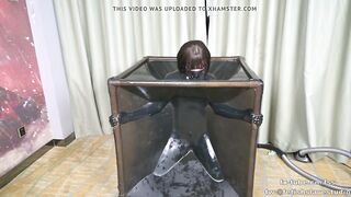 Latex vacuum box bondage and BP fem dominatrix