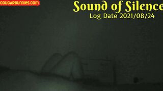 Sound of Silence Logdate210824