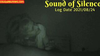 Sound of Silence Logdate210824