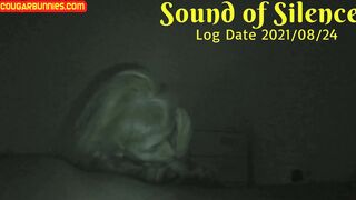 Sound of Silence Logdate210824