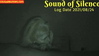 Sound of Silence Logdate210824