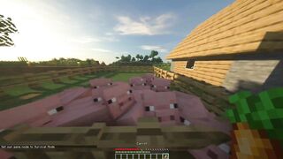 Minecraft Part two