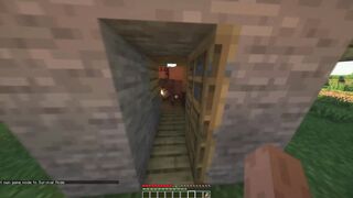 Minecraft Part two