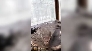 I Brought myself to a Squirt by Fucking my Butt inside an Abandoned House into the Forest