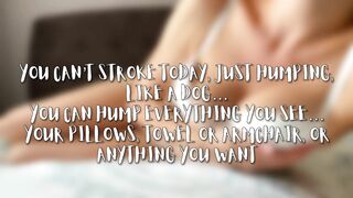 HANDSFREE ORGASM JOI - DAY 7