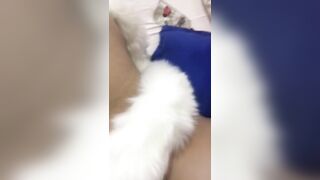 I Play with my Cooly, Imagining that i'm having Anal Sex with my Cousin 's Friend and i'll Send him