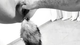 MY KITTY SUSPENDED & BANGED! ROUGH - Bound up Kitten Cumming so many Times! Home-made Shibari
