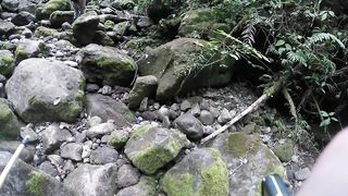 Bro Walks Trail to Waterfall