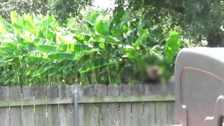 She Blows him off with her Soft Soak Lips QUICKLY while the Neighbors is just Yards away...RISKY!