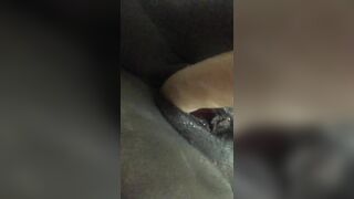 8 Inch Toy Nailed