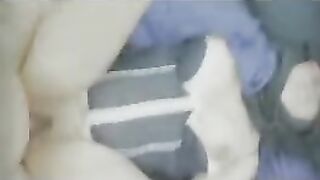 RabitoDeAlgodon 