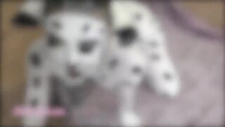 Voluptuous cunt with mouth Inside Dalmatian Costume Playfully Riding Cavalier