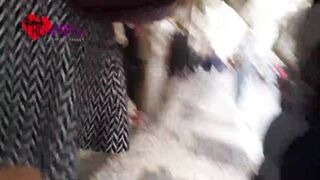 Cristina Almeida into a compilation