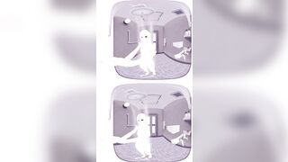 [VR 360 4K] Illyasviel Von Einzbern Fate/staynight Shower
