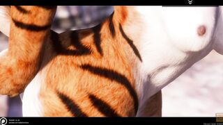 Wild Life / Furrie sluts Compilation