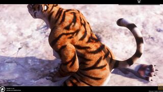 Wild Life / Furrie sluts Compilation