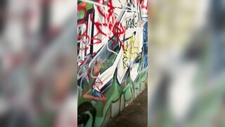 ANIMATED ALLEYCAT