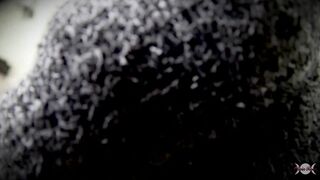 Sock Cuck Full Clip