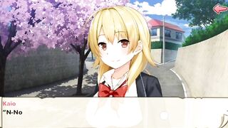 Moe Ninja Girls