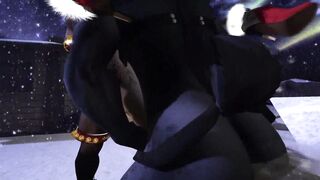Christmas Night - The Northern Lights ( Furry / Yiff