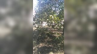 My first Outdoor Nudity on the Street - VikkiSexy