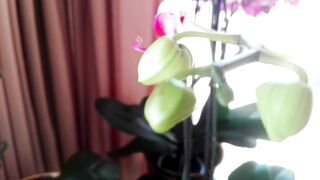 Big Titted mom Wakes up Lusty and needs Huge Penis Fast