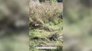 mom getting her Titties out and Fingers her self on a Walk