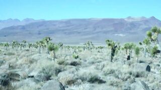 Desert Nymph sexy Experiences Human Penis inside Desert: Brandibraids