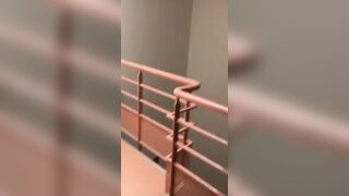 Regarde Ma Chatte à l Hôpital