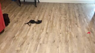 I was already Filming before he came Home to Pounded on the Floor…