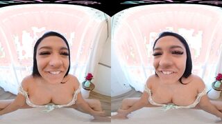 VRALLURE Pool Day Vacay