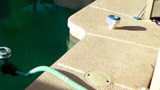 Let Neighbors Movie me Tanning Topless inside a G-String into my Backyard - Chelsea Stevens