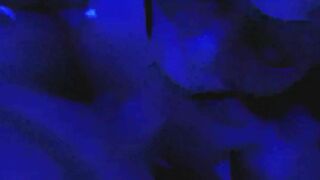 MY PAWG MISTRESS SUCKING OFF MY COCK GROANING AND ENJOYS IT