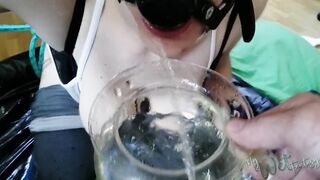Ball Gagged Piss sluts