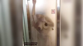 Amateur Shower Sex