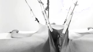 PUSSY&NIPPLES Clamps made her Whimper and Cum