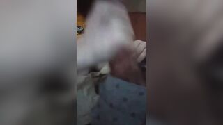 Hottie Nerd Oral Sex