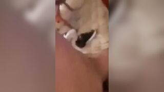 three some with Double Penetration inside 1 Hole