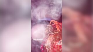Sucking Off My Best Friends African Cock